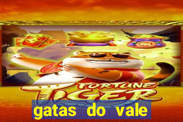 gatas do vale juazeiro ba